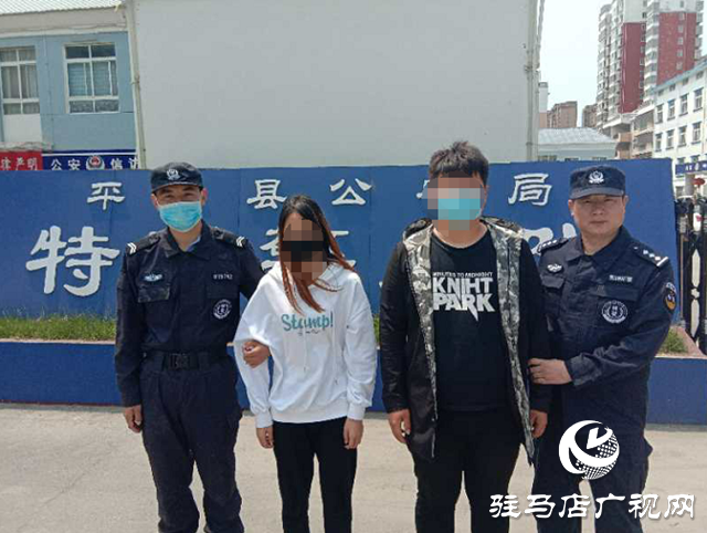 平輿：順手牽羊偷手機一男一女終被抓