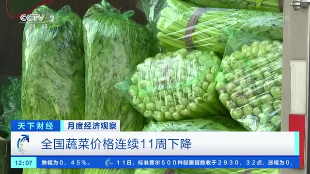 菜價格連續(xù)11周下降