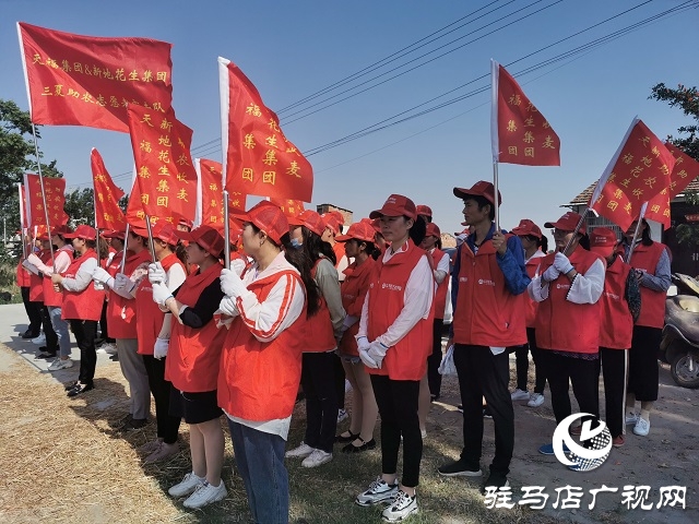 天福、新地花生集團助農(nóng)收麥忙 三夏時節(jié)確保顆粒歸倉