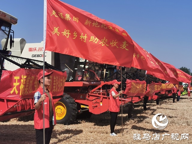 天福、新地花生集團助農(nóng)收麥忙 三夏時節(jié)確保顆粒歸倉