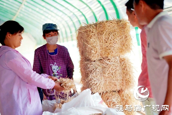 泌陽養(yǎng)殖戶陳宏偉：就想讓鄉(xiāng)親們有錢賺 有事做