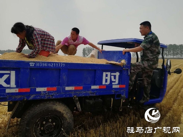 西平縣柏城街道：確保麥子顆粒歸倉(cāng)   保障秋糧豐收