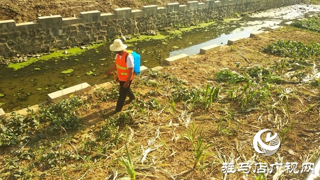 汝南縣王崗鎮(zhèn)開展河湖破堤種植及非法圍墾行為專項整治活動