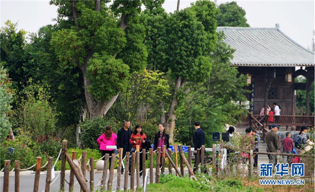 景色迷人的閩江河口國家濕地公園