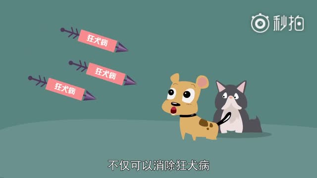 狂犬病有多狂？