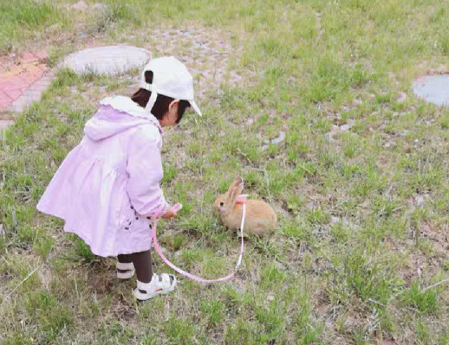 今年春節(jié)親子游都去的打卡地！門票免費(fèi)送！