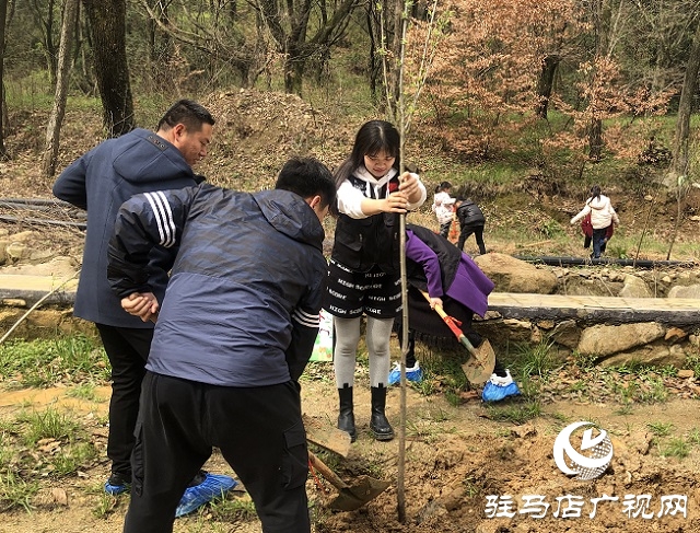 春分植樹添新綠 車友齊心美家園