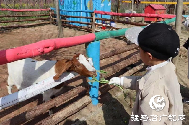 蘋果樹幼兒園赴世外桃源教育農(nóng)場開展春季游學