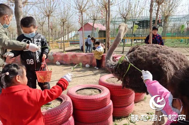 蘋果樹幼兒園赴世外桃源教育農(nóng)場開展春季游學