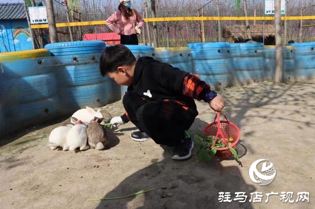 蘋果樹幼兒園赴世外桃源教育農(nóng)場開展春季游學(xué)