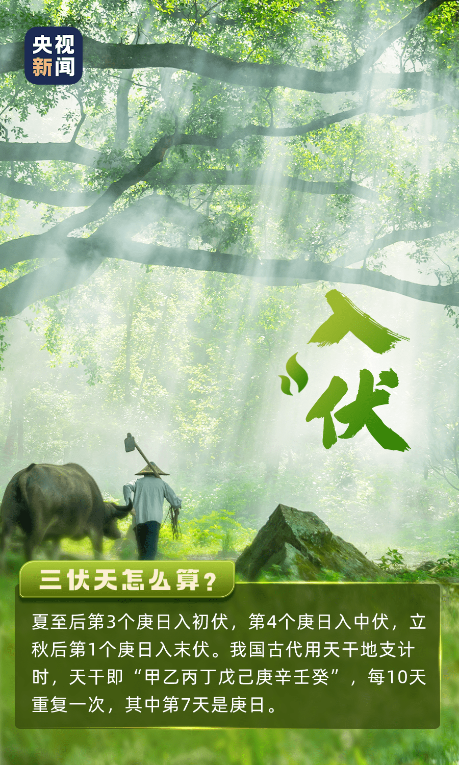 三伏天來了，這些養(yǎng)生寶典請收下