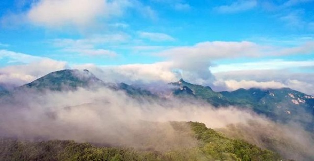 “市”外有桃園，宜陽花果山，遛娃首選點(diǎn)