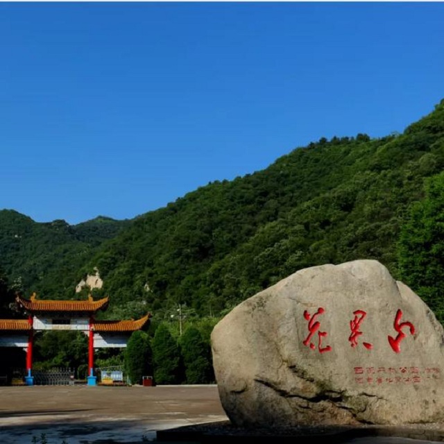 “市”外有桃園，宜陽花果山，遛娃首選點(diǎn)