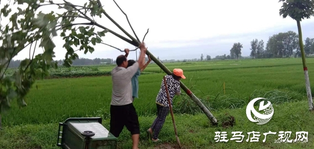 正陽縣彭橋鄉(xiāng)黨員干部冒雨守護群眾安全