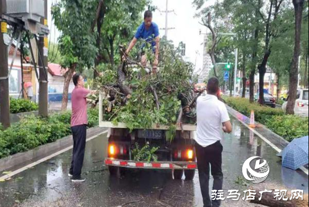 風(fēng)雨刮倒樹(shù)木成隱患 園林工人忙清理還道路暢通