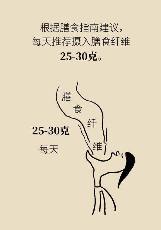 真的有越吃越瘦的食物？這些高纖維食物了解一下