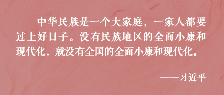 總書記傾心澆灌民族團(tuán)結(jié)進(jìn)步之花