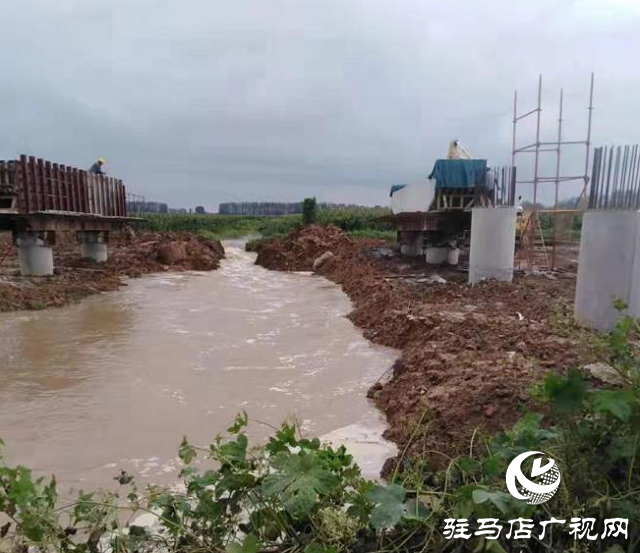 雨水倒灌莊稼地 緊急排澇解民憂