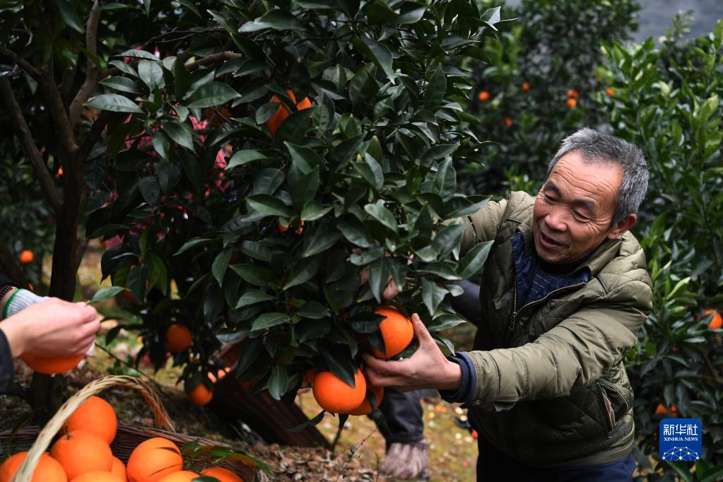 奮斗百年路 啟航新征程·中國共產(chǎn)黨人的精神譜系｜堅定信仰 寧死不屈——紅巖精神述評