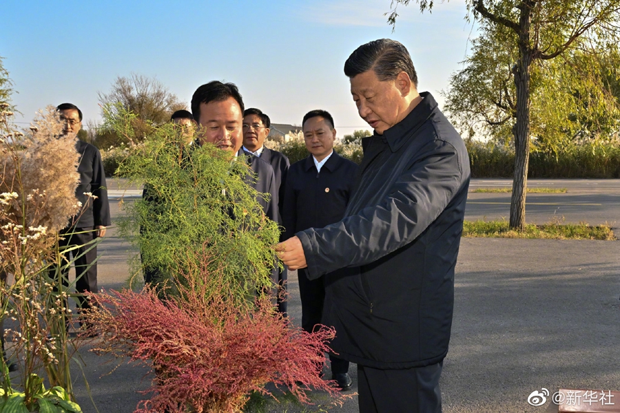 習(xí)近平在山東東營(yíng)考察黃河入海口