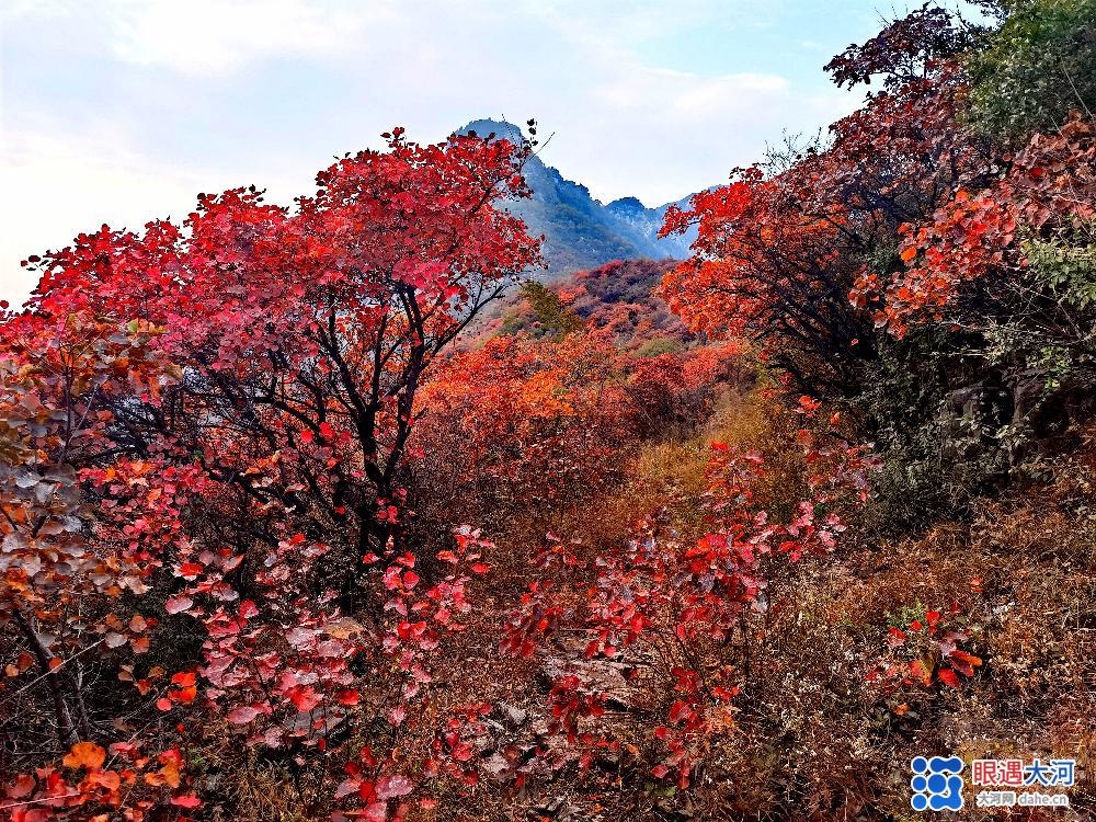 春意闌珊綠未減 山間十月秋色滿 