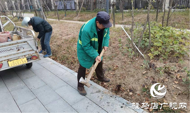 拆除遺留金屬樁 及時消除安全隱患