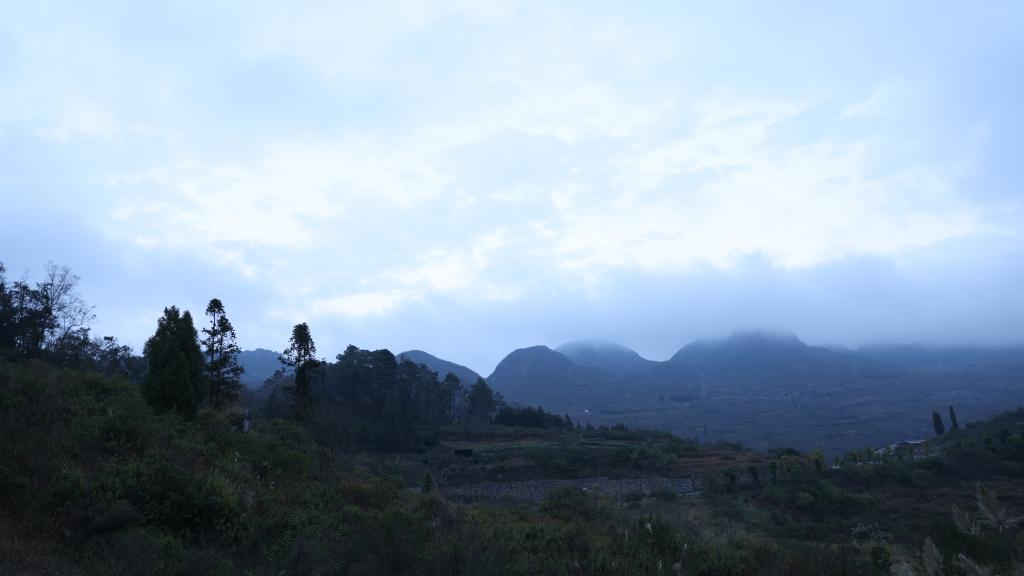 新春走基層丨古生物王國(guó)里 他們是遠(yuǎn)古生命的“揭紗人”