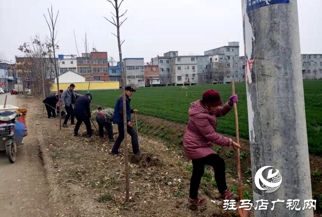 新蔡縣化莊鄉(xiāng)：植樹造林添新綠