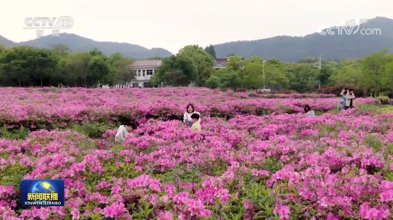 【總書(shū)記與我們?cè)谝黄稹慷死沃袊?guó)飯碗兜好民生底線