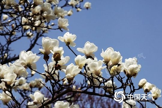 注意！冷空氣來(lái)了，部分地區(qū)降溫可達(dá)12℃以上