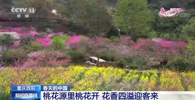 春天的中國 | 以花興旅 “花海經(jīng)濟”推動鄉(xiāng)村振興