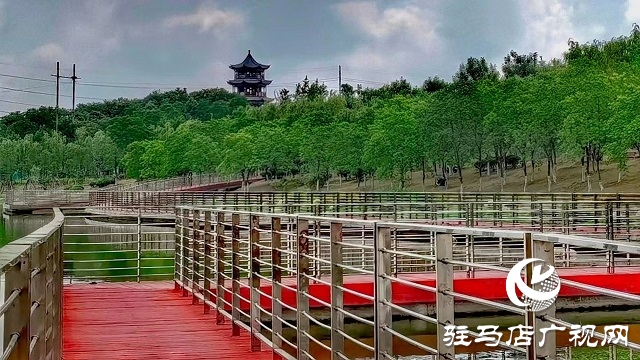 雨后的濱河公園