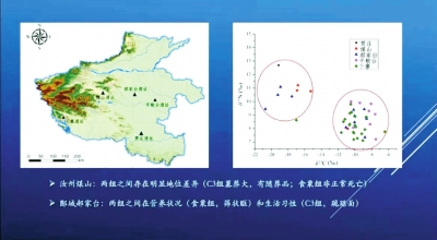 夏朝人種什么、吃什么、得什么?。?夏文化論壇揭示4000年前的居民身體狀況