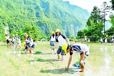 研學(xué)旅行走俏：在行走的課堂中，如何讀懂更大的世界