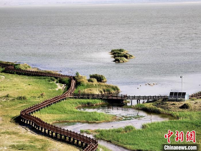 俯瞰柴達(dá)木盆地都蘭湖國家濕地公園