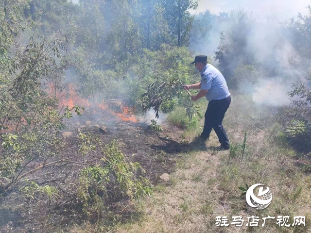 泌陽民警秒變“消防衛(wèi)士”火速處置一起山火險情