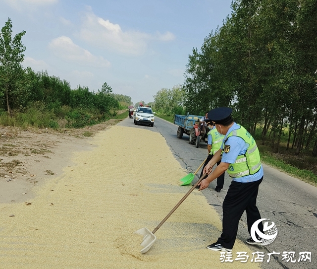 正陽縣交通運輸局對占用公路“打場曬糧”現(xiàn)象進行整治