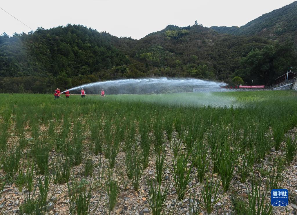 牢牢把住糧食安全主動(dòng)權(quán)——以習(xí)近平同志為核心的黨中央帶領(lǐng)人民干好這件頭等大事