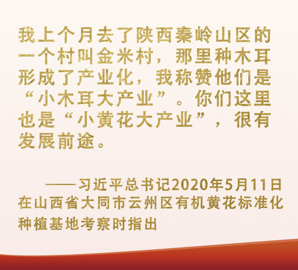 總書記掛念的“關鍵小事”丨讓“小作物”成為助力脫貧致富的“大產(chǎn)業(yè)”