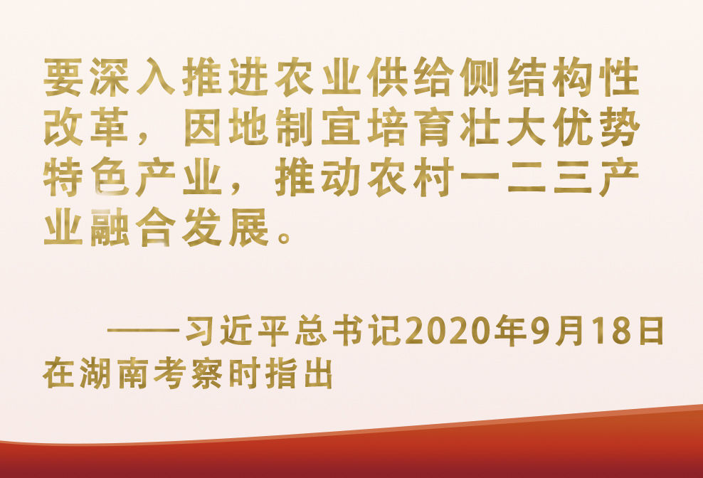 總書記掛念的“關鍵小事”丨讓“小作物”成為助力脫貧致富的“大產(chǎn)業(yè)”