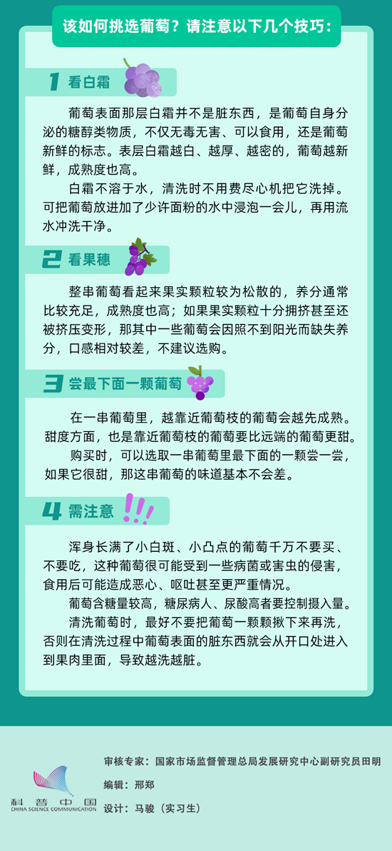 葡萄好吃還得會挑，這些小技巧快快收藏