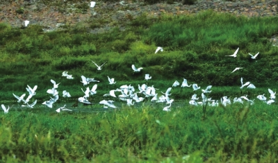 沙河國(guó)家濕地公園，一天兩次被央視“點(diǎn)贊”