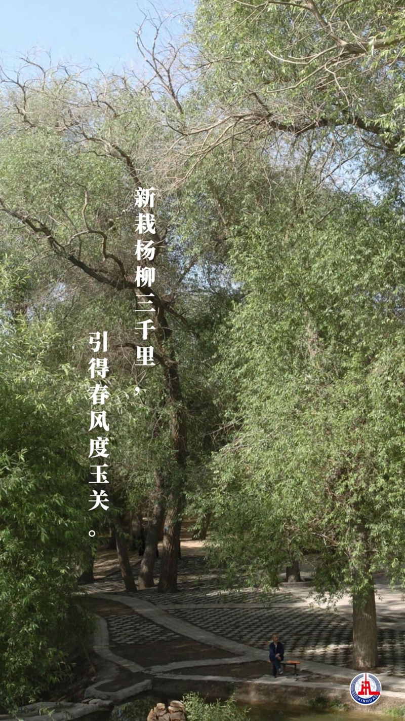 新華全媒+丨植樹傳統(tǒng)，從古詩中走來