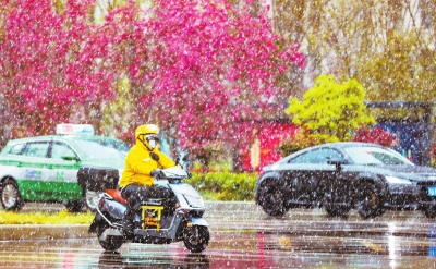 雪落中原氣象新 小麥正處于拔芽期 生產(chǎn)要注意什么