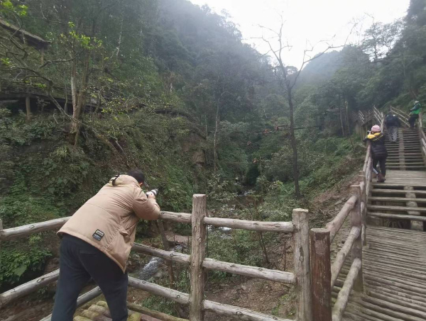 峨眉山猴子被拘留？假的！峨眉山猴子是國家二級保護(hù)動(dòng)物