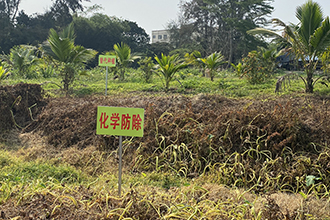 農(nóng)業(yè)農(nóng)村部組織集中滅除重大危害外來(lái)入侵物種