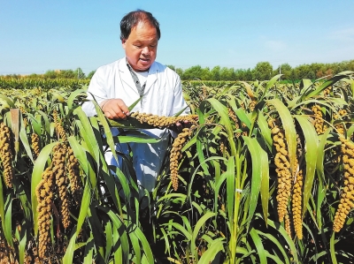 深入學(xué)習(xí)貫徹黨的二十大精神丨一粒小米的強(qiáng)“芯”路