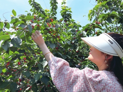 5·19中國旅游日將至，免票、半價(jià)......鄭州各大景區(qū)優(yōu)惠政策出爐