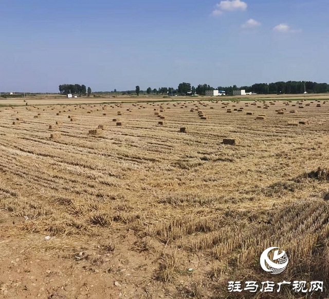 泌陽縣泰山廟鎮(zhèn)：秸稈綜合利用 “生態(tài)包袱”變“綠色財富”