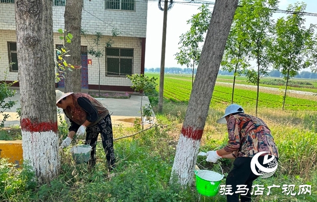 泌陽縣郭集鎮(zhèn)：大家齊動(dòng)手 共建美家園